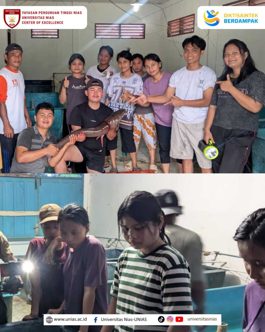 Prodi Sumber Daya Akuatik Universitas Nias Tingkatkan Kualitas Pembelajaran Praktik melalui Keberhasilan Pemijahan Buatan Ikan Lele Sangkuriang